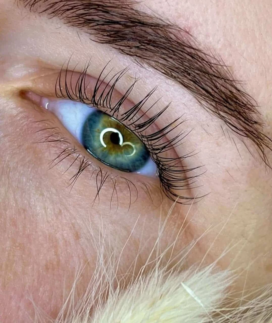 Brow lamination result with brushed-up natural shape