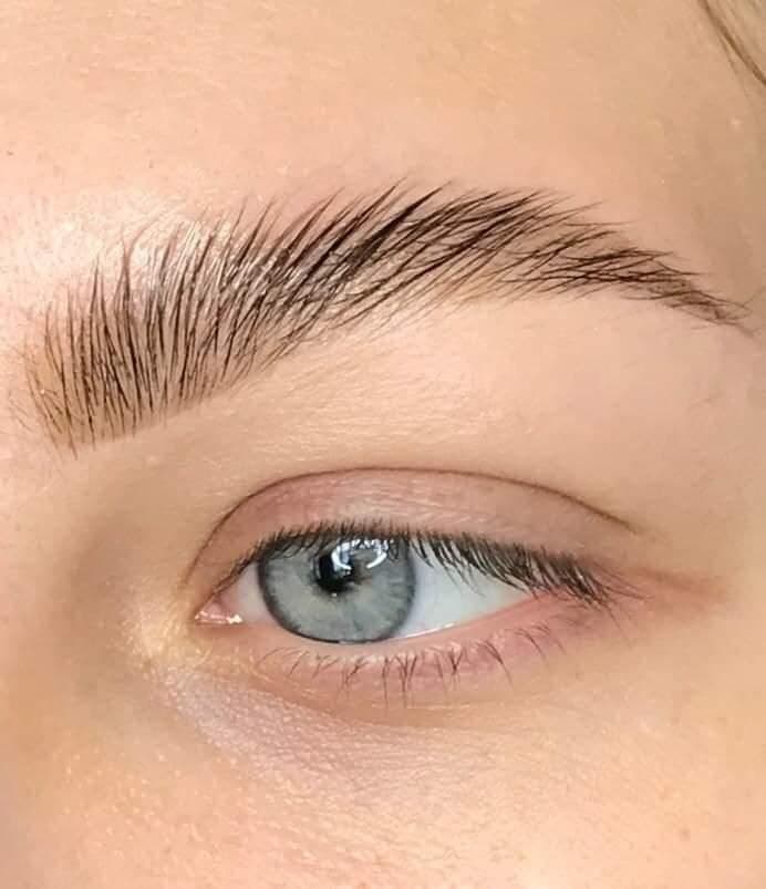 Eyebrow Lamination Fort Myers